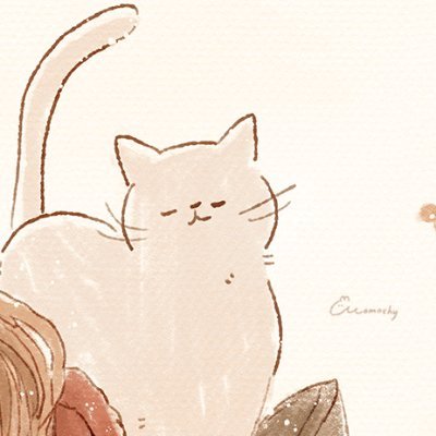🌱meri🌱さんのプロフィール画像