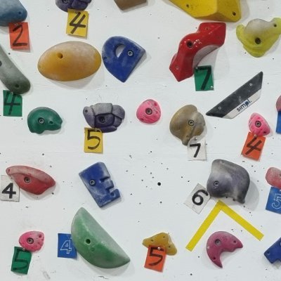 Woodkddll's profile picture. crypto trading