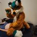 Kit the Stinky fox @ AC24 (@stinkyfoxbc) Twitter profile photo Kit the Stinky fox @ AC24 (@stinkyfoxbc) Twitter profile photo