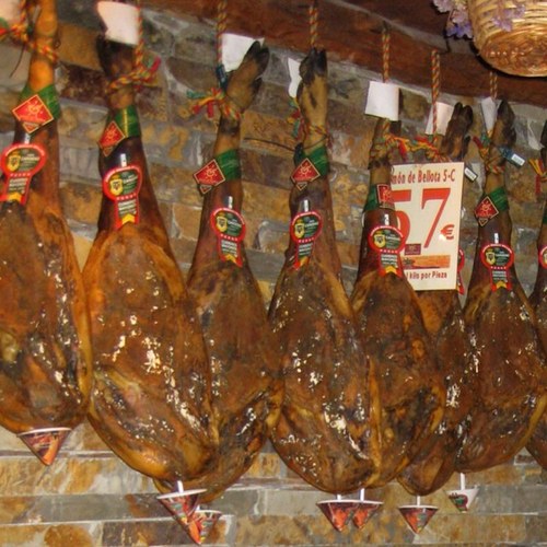 madridjason's profile picture. 