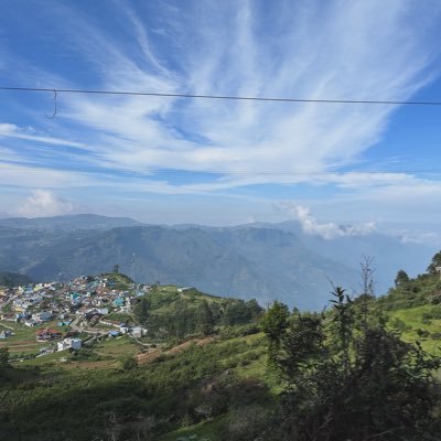 ash_winu's profile picture. 