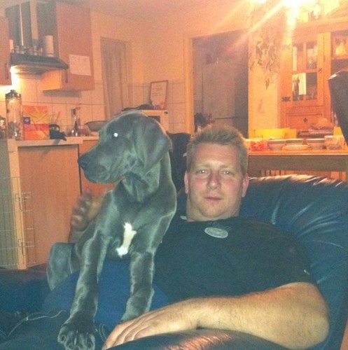 hendrik2611's profile picture. 