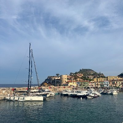 camberger's profile picture. 