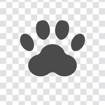 dekZqI4hLt84514's profile picture. 