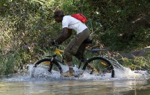 naveenkarikalan's profile picture. 