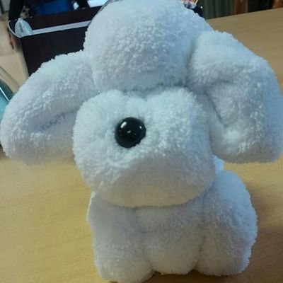 まとめ　色々なメーカー　残り50%以上 4582269549583_h10.jpg