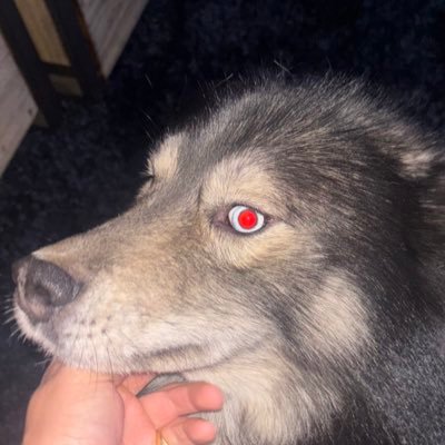 bullishga1ns's profile picture. Very strategic in what i do. Quality over quantity. 
$CLOUDY