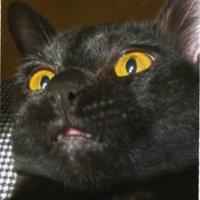 𝐌𝐲 (@my_beloved_guys) 's Twitter Profile