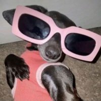 wella (@langg) 's Twitter Profile