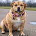 Fat Dog ๐ด๓ ง๓ ข๓ ฅ๓ ฎ๓ ง๓ ฟ (@unclepe90126537) Twitter profile photo Fat Dog ๐ด๓ ง๓ ข๓ ฅ๓ ฎ๓ ง๓ ฟ (@unclepe90126537) Twitter profile photo