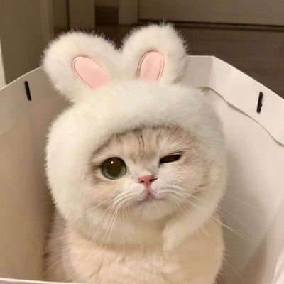 Funfun21_super's profile picture. 🤗