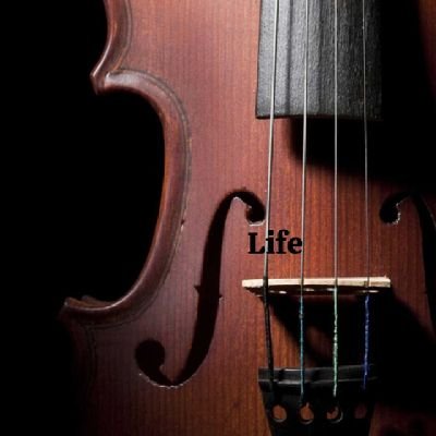 Carversscut's profile picture. Zoomers logistics

Fast. Reliable. Right to your door. 🚚 Same-day delivery, pickups & errands — Zoomers, giving you ease.