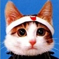 ねこ ねこ (@hitouhairuneko) Twitter profile photo