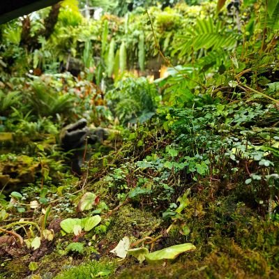 Rags094's profile picture. 