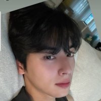 Cha Eun🫶🏻-woo (@eunwoo8498) 's Twitter Profile