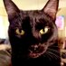 GizmoBoo (@gizmoboogw2) Twitter profile photo GizmoBoo (@gizmoboogw2) Twitter profile photo