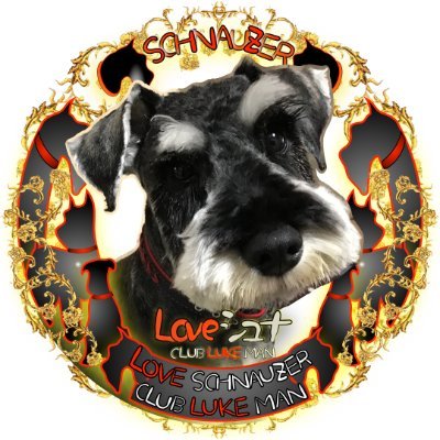 lukeman8's profile picture. シュナウザールーク　
フォロー大歓迎❣️
Loveシュナ！ CLUB LUKE MAN 
https://t.co/NogwpSEVN5
TikTok
https://t.co/aUkEMSi5Rf
X
https://t.co/3HTRQFnjyU