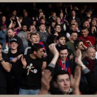luis (@luiscpfc) 's Twitter Profile