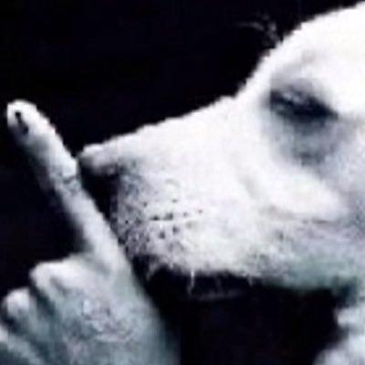 sr20deet's profile picture. tavis | 18