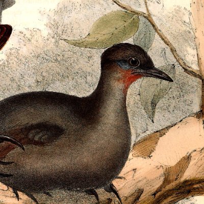 Don_Vito_cuck's profile picture. 