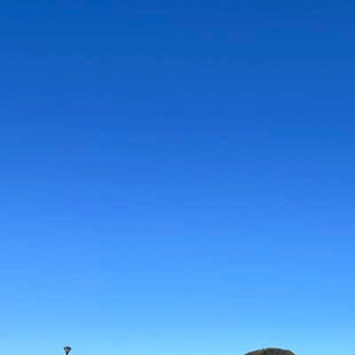 AroAceと自認した♀︎。適齢期過ぎてるし悩んでる。関東住み。同じ仲間と繋がりたい。旅行、アニメ好き。