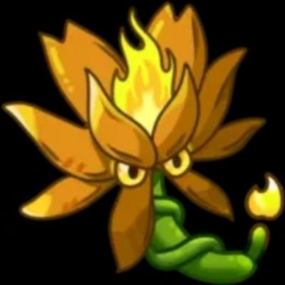 pvzfusion's profile picture. 