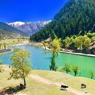 NajibBatoor's profile picture. هیواد مې ځان دی