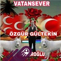 🇹🇷Vatansever🇹🇷 (@vatansever038) 's Twitter Profile