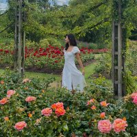 Meilin (@meilin3344520) 's Twitter Profile