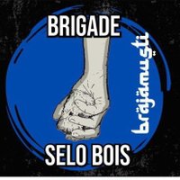 BRIGADE SELO BOIS (@selo_boiis) 's Twitter Profile