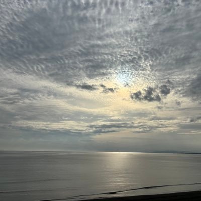 yokotatsu0000's profile picture. 金融とプログラミング