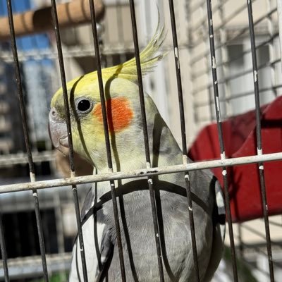 317__seref's profile picture. all iz well