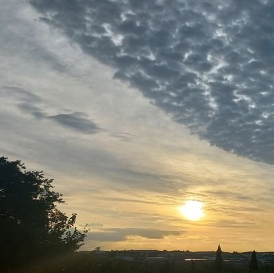 LindaV_1594's profile picture. Be Honest