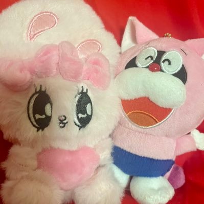 ぺるちゃん (@megu_kuru_0624) / Posts / X