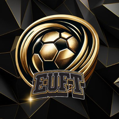 Empowering football fans globally through Web3 innovation 🌍⚽. $EUFT on @SeiNetwork offers rewards, engagement, and endless possibilities. 🚀