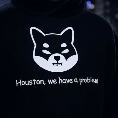 @ShibaX_SpaceX