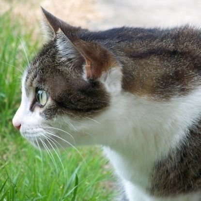 Allrounderr02's profile picture. Message me to know me😑