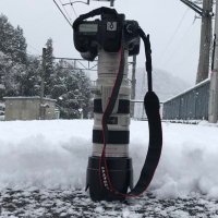 かけねぎ (@kakenegi) 's Twitter Profile Photo