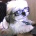 科科 (@632mw) Twitter profile photo 科科 (@632mw) Twitter profile photo