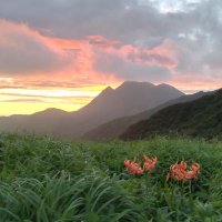 koton (@koton_fx) 's Twitter Profile