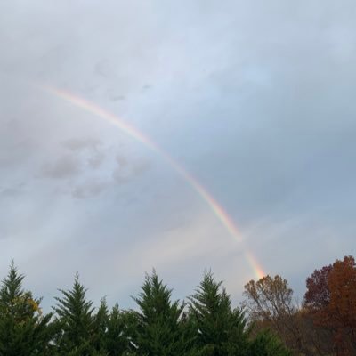 ponzgu's profile picture. woso + wnba | she