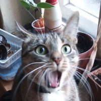 я да, но нет (@netnoda13009) 's Twitter Profile Photo я да, но нет (@netnoda13009) 's Twitter Profile Photo