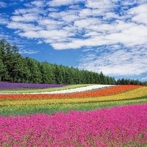 chinatsu1911382's profile picture. 副業で収入を増やすコツを紹介中。副業を始めてみたい人にお得な情報をお届け。小規模ですがお金配り企画もしております☆ 期間限定▶ https://t.co/WeFrL98rXI