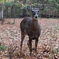 JED (@dahl1379) Twitter profile photo