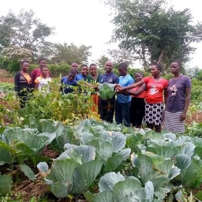 A youth led NGO that empowers young people to be Brave & Resilient by building their capacity in sustainable & eco-friendly friendly farming practices.
