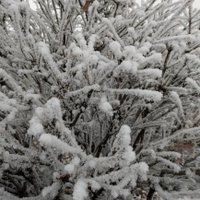 coastal_dreams2023 (@leonb7724390639) 's Twitter Profile