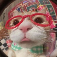 mii🩵⭐ (@miiukpp) 's Twitter Profile