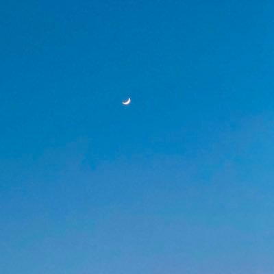ねぐせさんのプロフィール画像