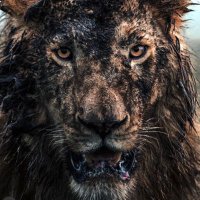 Wicksy (@jwixy88) 's Twitter Profile