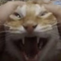 QwTheToast (@qw_the_toast) 's Twitter Profile